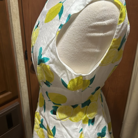 Yellow Lemons - Picture 2 of 3